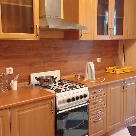 Однокомнатная На Рыбальской Apartamento *